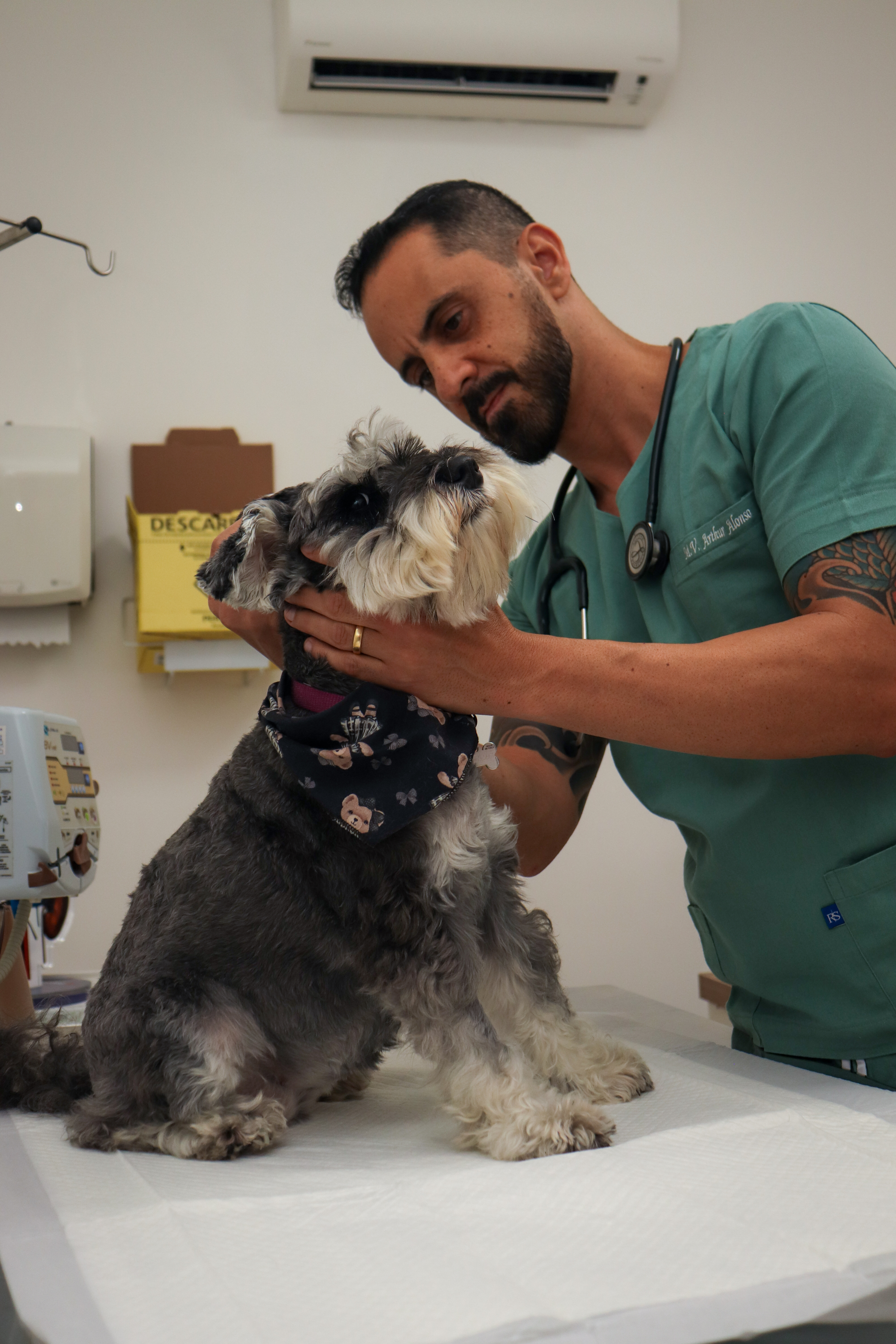 5 Características de um Veterinário no Butantan Vet