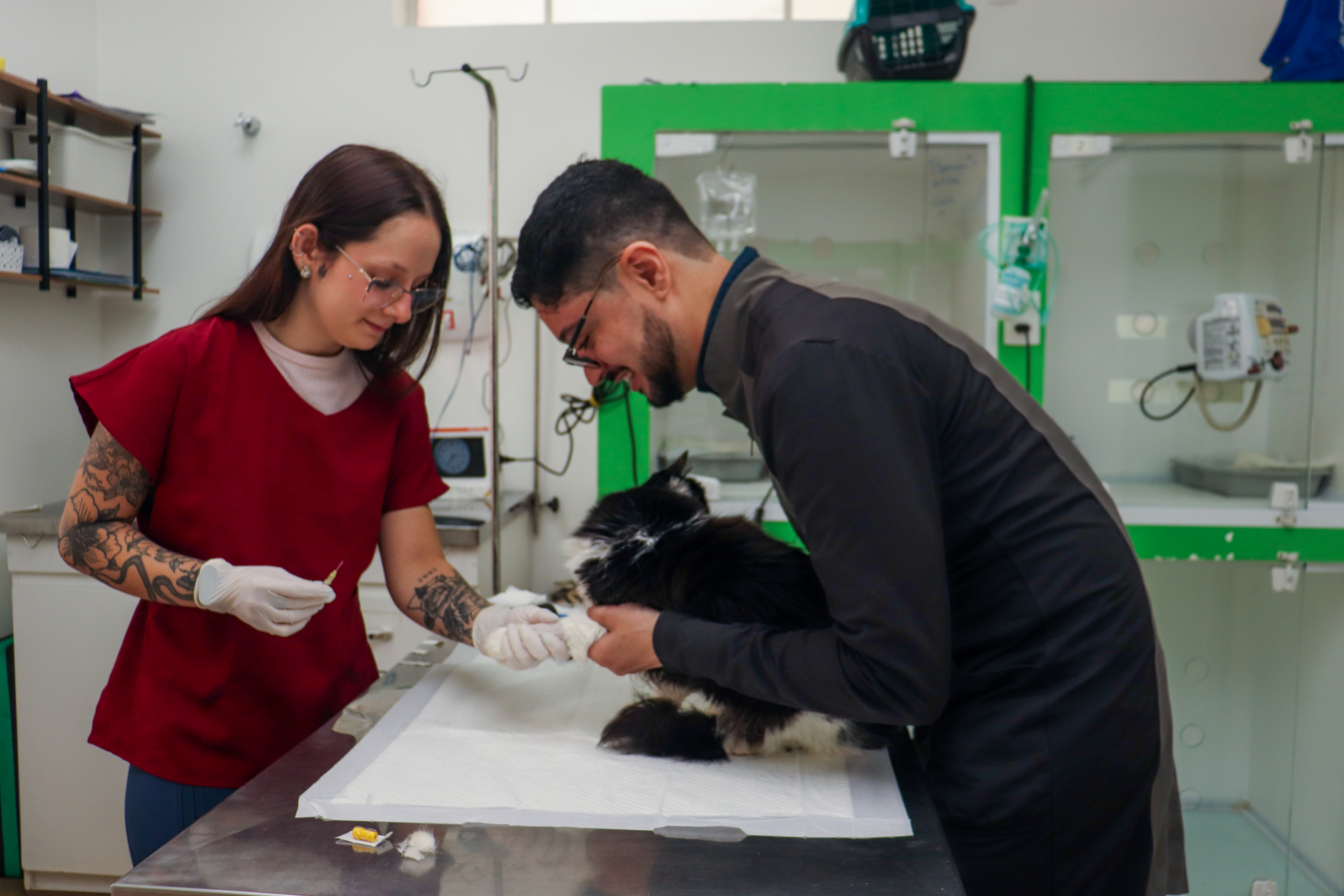 O Risco de Erro Médico é um Fator Importante para o seu Pet?